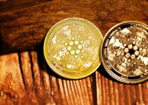 仮想通貨ADA（カルダノ/エイダコイン）とは？特徴や将来性を徹底解説