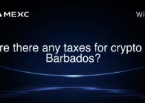 Are there any taxes for crypto in Barbados?