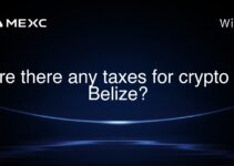 Are there any taxes for crypto in Belize?