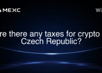 Are there any taxes for crypto in Czech Republic?
