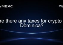 Are there any taxes for crypto in Dominica?