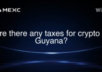 Are there any taxes for crypto in Guyana?