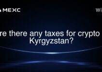 Are there any taxes for crypto in Kyrgyzstan?