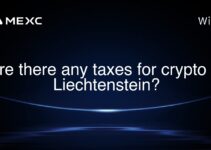 Are there any taxes for crypto in Liechtenstein?