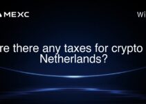 Are there any taxes for crypto in Netherlands?