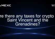 Are there any taxes for crypto in Saint Vincent and the Grenadines?