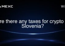 Are there any taxes for crypto in Slovenia?