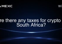 Are there any taxes for crypto in South Africa?