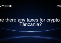 Are there any taxes for crypto in Tanzania?