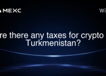 Are there any taxes for crypto in Turkmenistan?