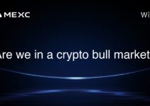 Are we in a crypto bull market?