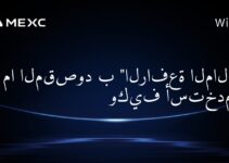 ما المقصود بـ “الرافعة المالية” وكيف أستخدمها؟