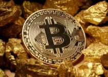 So Sánh Bitcoin Và Vàng: Kênh Đầu Tư Nào Mang Lại Lợi Nhuận Cao Hơn?