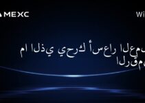 ما الذي يحرك أسعار العملات الرقمية؟