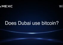 Does Dubai use bitcoin?
