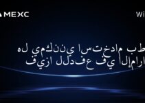 هل يمكنني استخدام بطاقة فيزا للدفع في الإمارات؟
