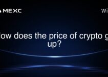How does the price of crypto go up?