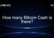 How many Bitcoin Cash is there?