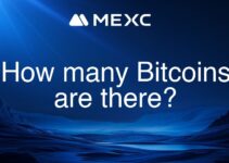 How many Bitcoins are there?