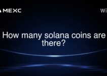 How many solana coins are there?