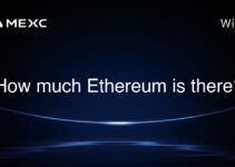 How much Ethereum is there?