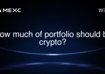 How much of portfolio should be crypto?