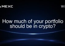 How much of your portfolio should be in crypto?
