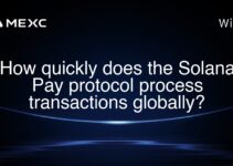 How quickly does the Solana Pay protocol process transactions globally?