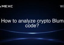 How to analyze crypto Blum code?