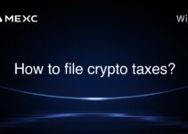 How to file crypto taxes?