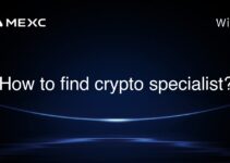 How to find crypto specialist?