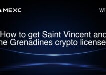 How to get Saint Vincent and the Grenadines crypto license?
