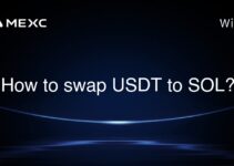 How to swap USDT to SOL?