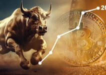 Bull run 2025: as mudanças no mercado cripto em 2025