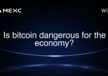Is bitcoin dangerous for the economy?
