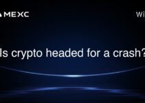 Is crypto headed for a crash?