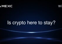 Is crypto here to stay?