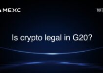 Is crypto legal in G20?