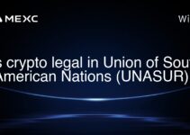 Is crypto legal in Union of South American Nations (UNASUR)?