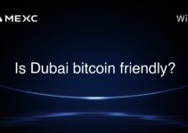 Is Dubai bitcoin friendly?