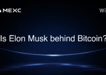 Is Elon Musk behind Bitcoin?