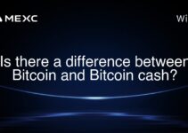 Is there a difference between Bitcoin and Bitcoin cash?