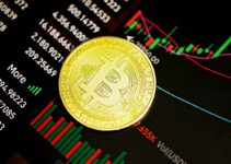 ビットコイン、史上最高値更新：機関投資家流入と「クリプトウィーク」で急騰