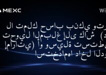 هل يمكن استخدام العملات الرقمية لشراء المنتجات في الإمارات ؟