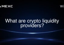 What are crypto liquidity providers?