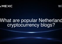 What are popular Netherland cryptocurrency blogs?