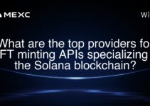 What are the top providers for NFT minting APIs specializing in the Solana blockchain?