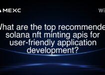 What are the top recommended solana nft minting apis for user-friendly application development?