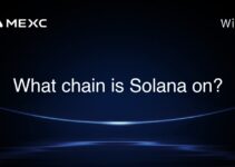 What chain is Solana on?