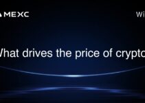 What drives the price of crypto?